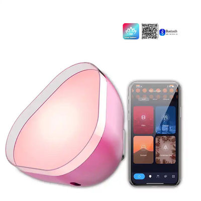 Un bon prix. Chargement par USB Atmosphère Lampes LED RGBIC Bluetooth personnalisé en ligne